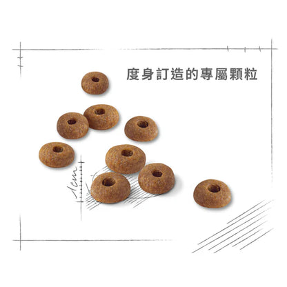 FOTC Royal Canin Feline; Regular Fit; 成貓全效健康營養配方