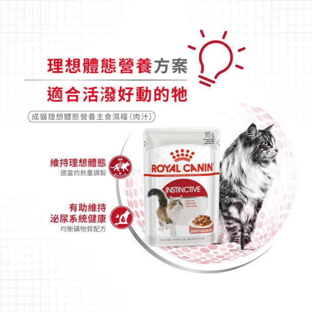 FOTC Royal Canin Feline; Instinctive Gravy Pouch; 成貓理想體態配方袋裝濕糧(肉汁)