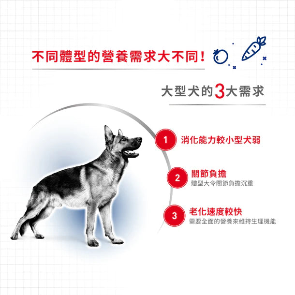 FOTC Royal Canin Canine; MAXI Adult; 大型成犬營養配方