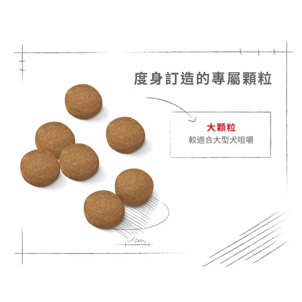 FOTC Royal Canin Canine; MAXI Adult; 大型成犬營養配方