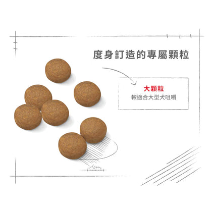 FOTC Royal Canin Canine; MAXI Adult; 大型成犬營養配方