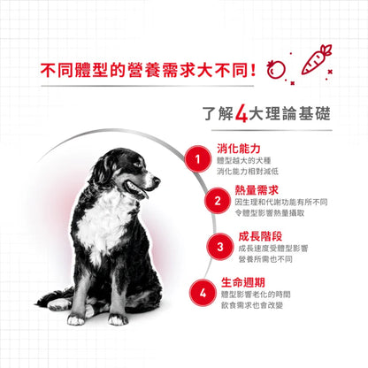 FOTC Royal Canin Canine; Medium Adult 7+; 中型成犬7＋營養配方