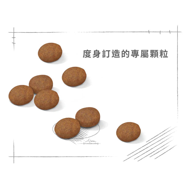 FOTC Royal Canin Canine; Medium Adult 7+; 中型成犬7＋營養配方