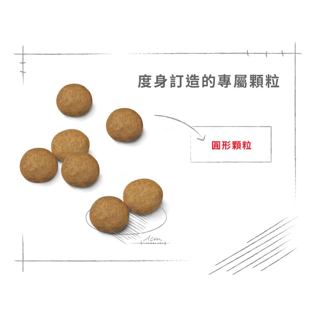 FOTC Royal Canin Canine; Medium Adult; 中型成犬營養配方