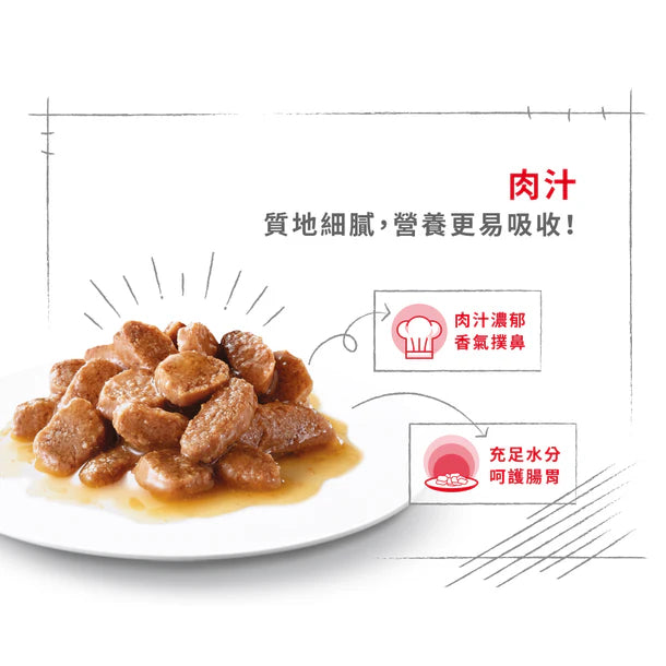FOTC Royal Canin Canine; Mini Ageing Gravy Pouch; 小型老犬營養袋裝濕糧(肉汁)