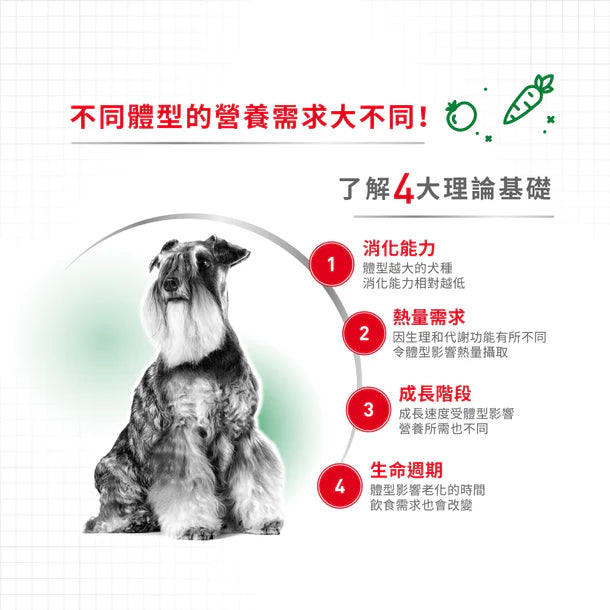 FOTC Royal Canin Canine; Mini Adult 8+; 小型成犬8＋營養配方
