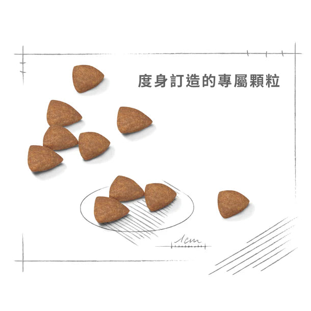 FOTC Royal Canin Canine; Mini Indoor Adult; 室內小型成犬營養配方