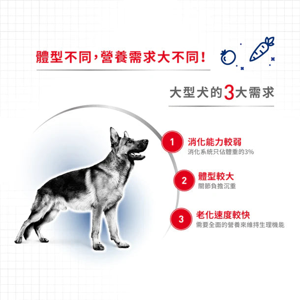 FOTC Royal Canin Canine; MAXI Adult Gravy Pouch; 大型成犬營養袋裝濕糧(肉汁)