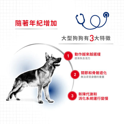 FOTC Royal Canin Canine; MAXI Ageing Gravy Pouch; 大型老犬營養袋裝濕糧(肉汁)