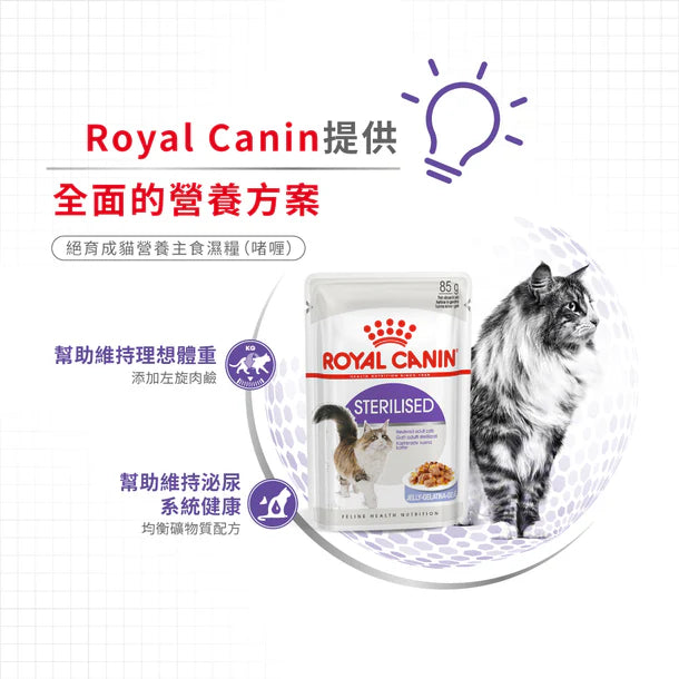 FOTC Royal Canin Feline; Sterilised Jelly Pouch; 成貓絕育配方袋裝濕糧(啫喱)