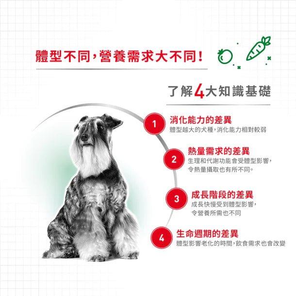 FOTC Royal Canin Canine; Mini Adult Gravy Pouch; 小型成犬營養袋裝濕糧(肉汁)