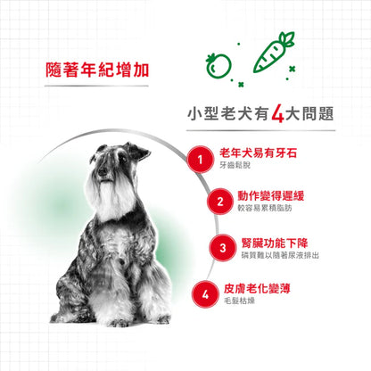 FOTC Royal Canin Canine; Mini Ageing 12+; 小型老犬12＋營養配方