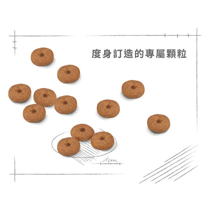 FOTC Royal Canin Canine; Mini Ageing 12+; 小型老犬12＋營養配方