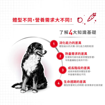 FOTC Royal Canin Canine; Medium Adult Gravy Pouch; 中型成犬營養袋裝濕糧(肉汁)