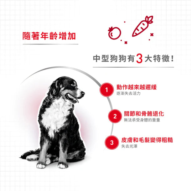 FOTC Royal Canin Canine; Medium Ageing 10+; 中型老犬10＋營養配方