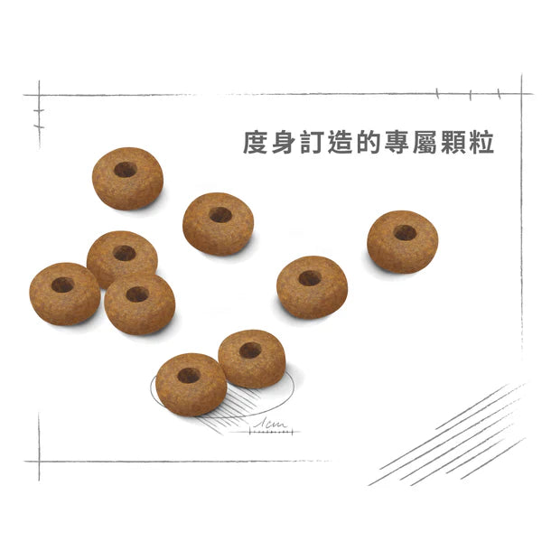 FOTC Royal Canin Canine; Medium Ageing 10+; 中型老犬10＋營養配方