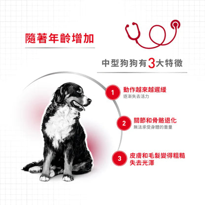 FOTC Royal Canin Canine; Medium Ageing Gravy Pouch; 中型老犬營養袋裝濕糧(肉汁)