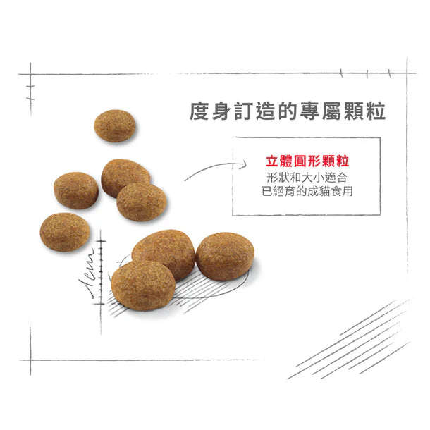 FOTC Royal Canin Feline; Regular Sterilised; 絕育成貓營養配方