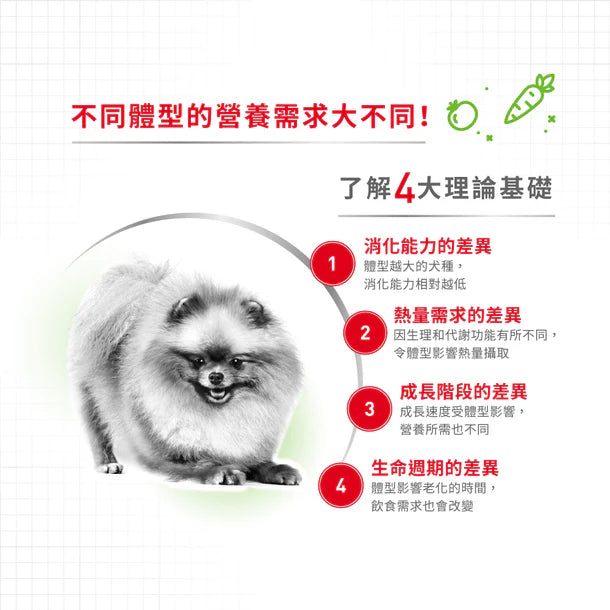FOTC Royal Canin Canine; X-Small Ageing 12+; 超小型老犬12＋營養配方