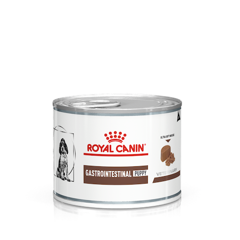 Royal Canin Canine; Gastrointestinal Puppy Mousse Canned; Puppy Gastrointestinal Prescription Can 12 cans