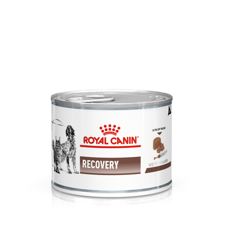 Royal Canin Feline & Canine ; Recovery Canned; ICU重症營養處方補給罐頭（貓/犬用） 12罐