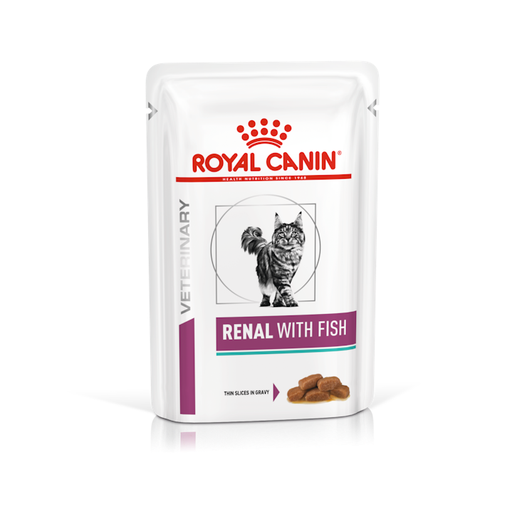 Royal Canin Feline; Renal Wet With Fish; 成貓腎臟處方袋裝濕糧（魚肉） 12包